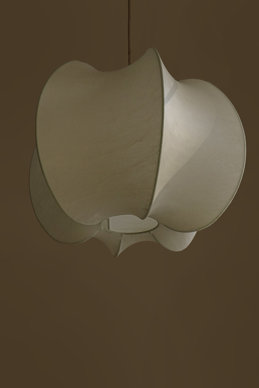 SUSPENSION COCOON