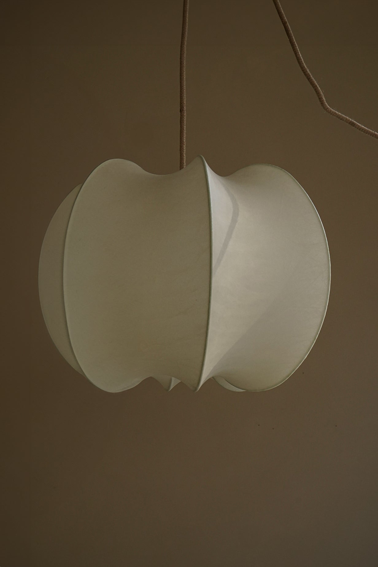 SUSPENSION COCOON