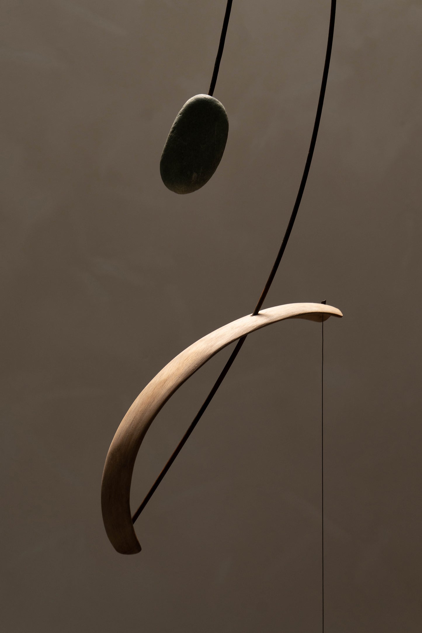 SUSPENSION BONES
