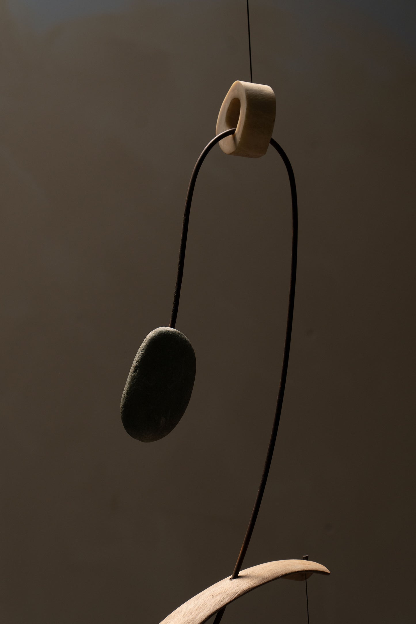 SUSPENSION BONES