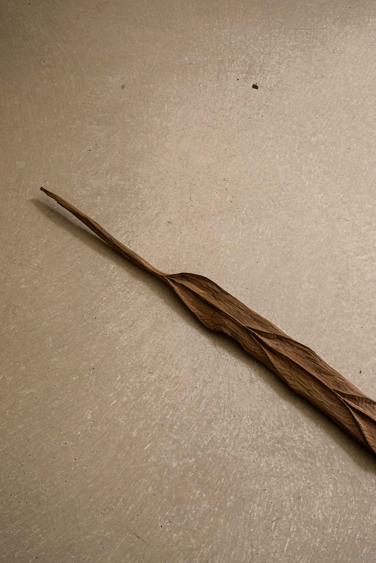 FEUILLE