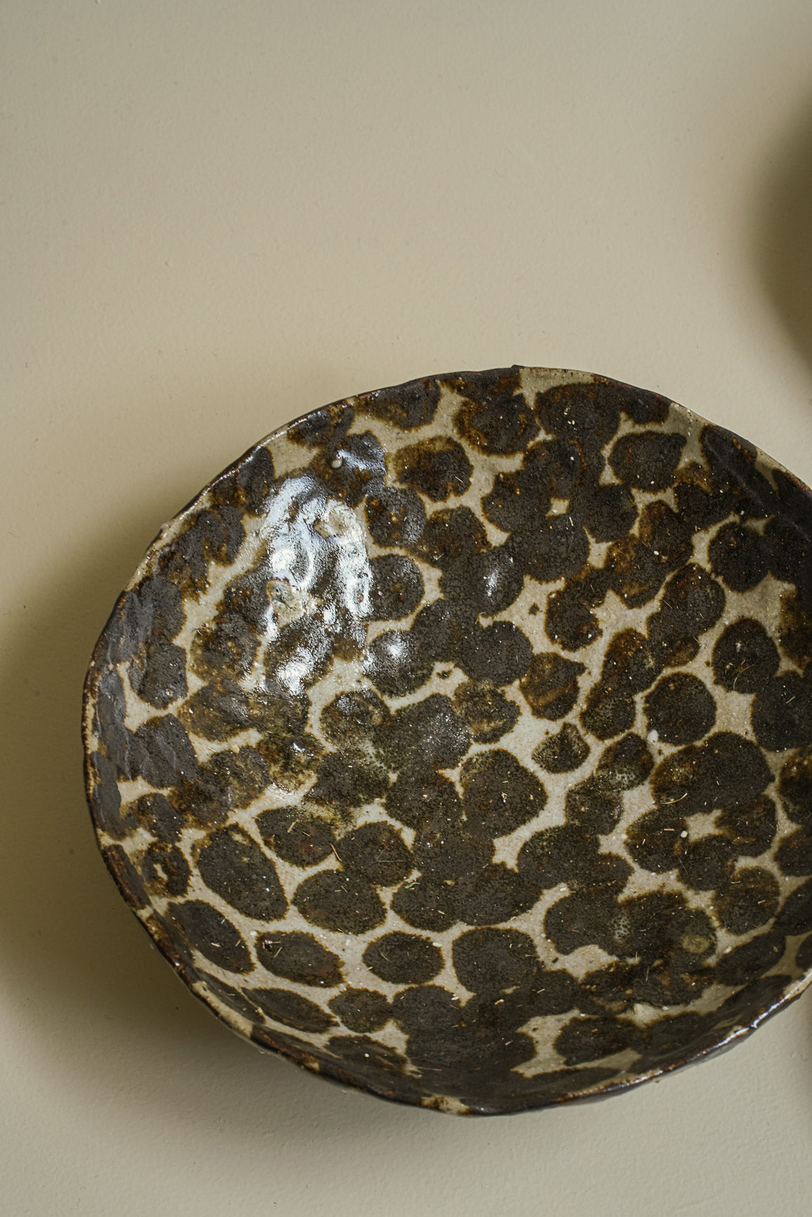 BOL APPALOOSA