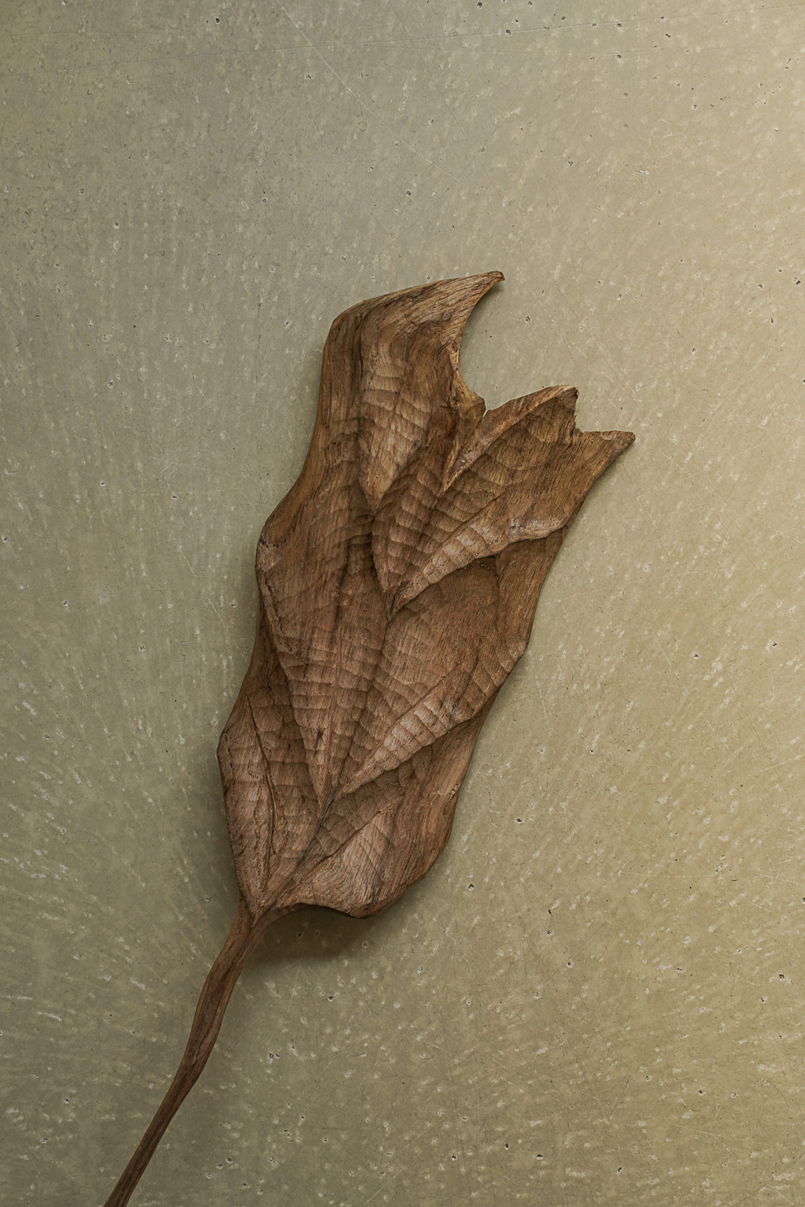 FEUILLE