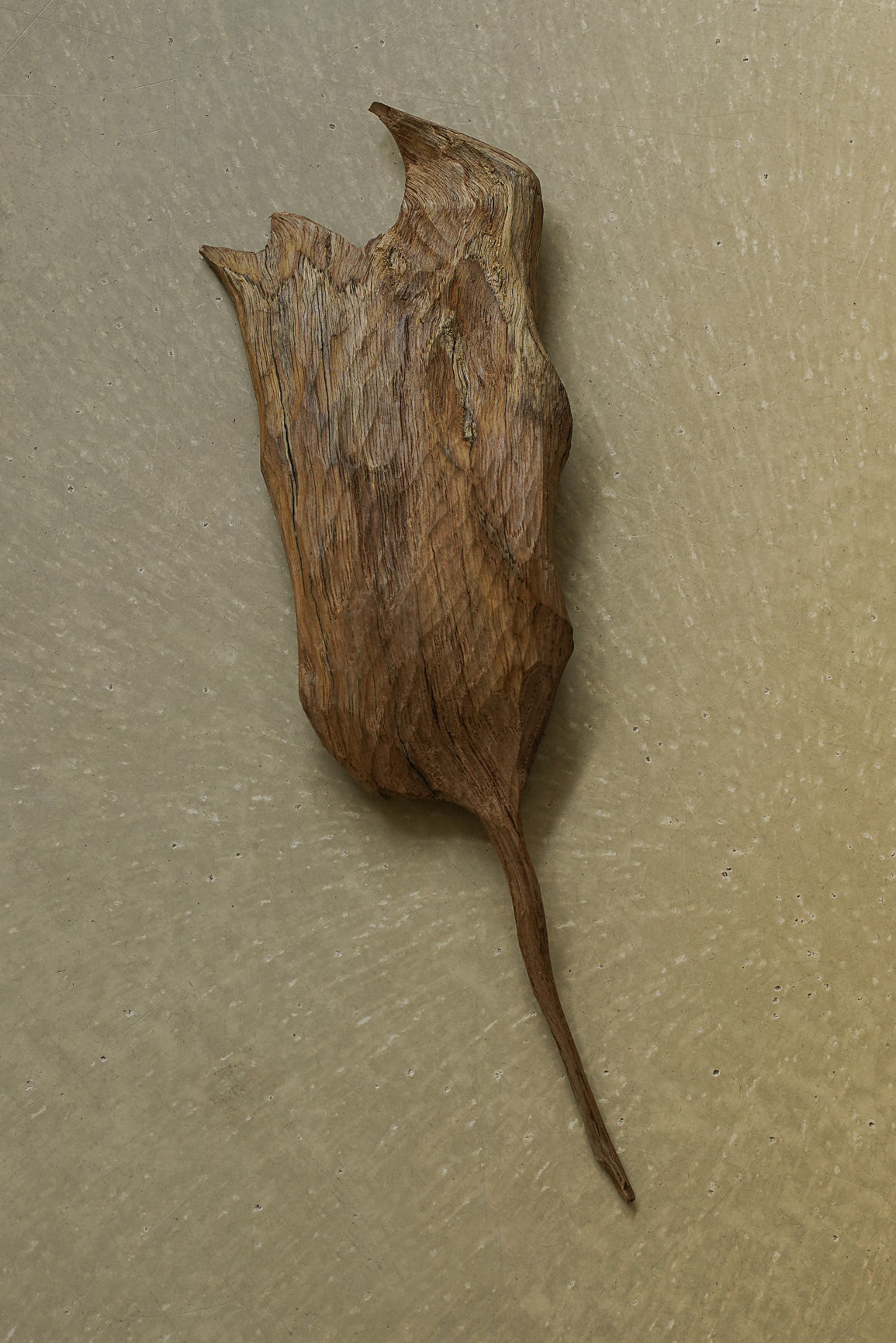 FEUILLE