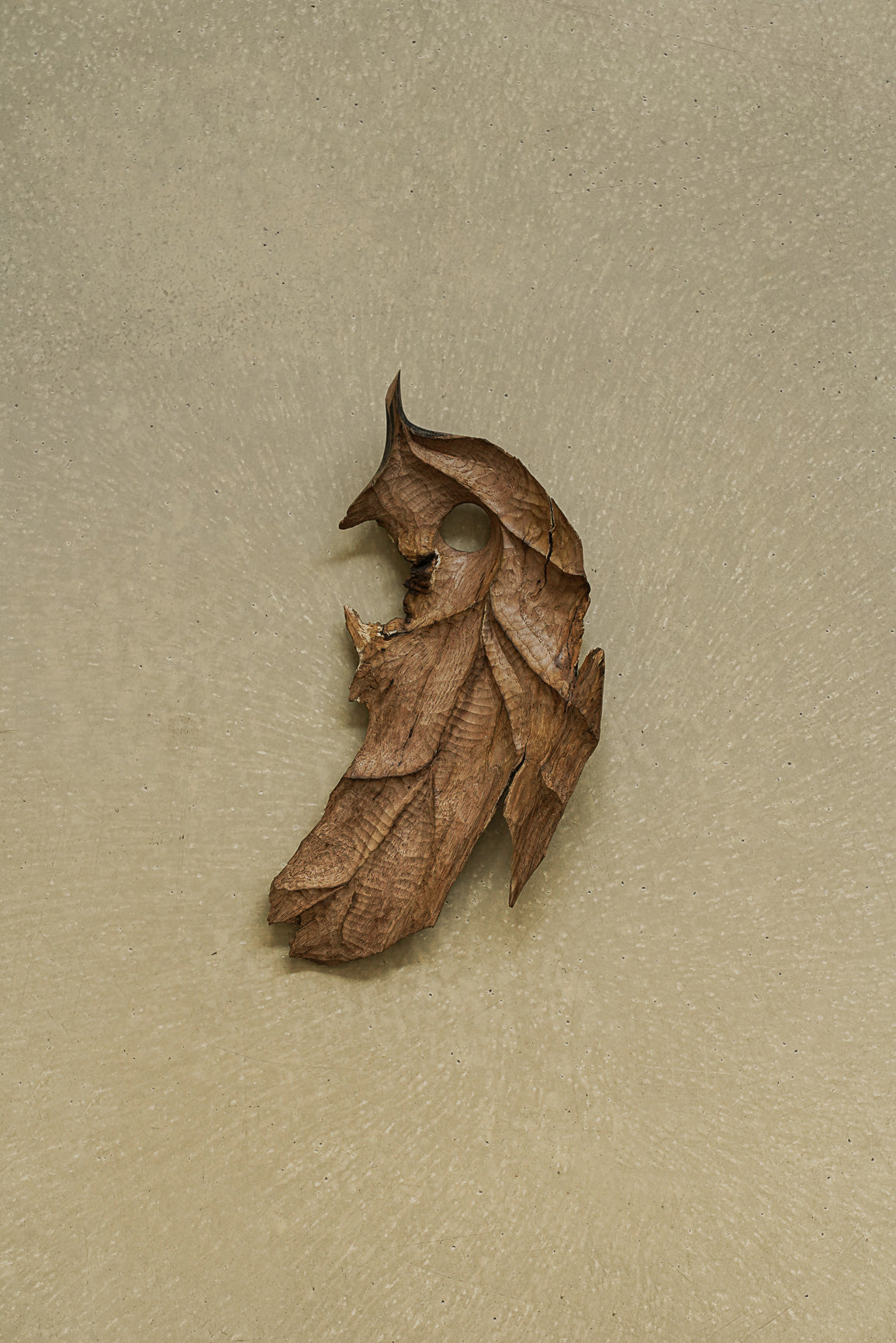 FEUILLE