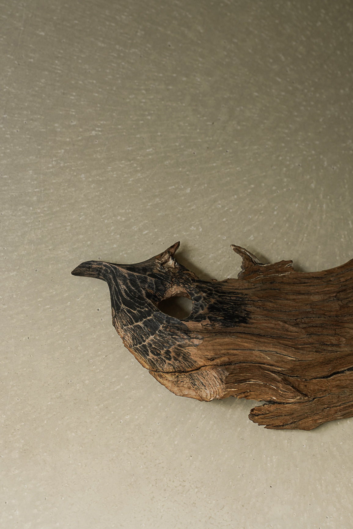 FEUILLE