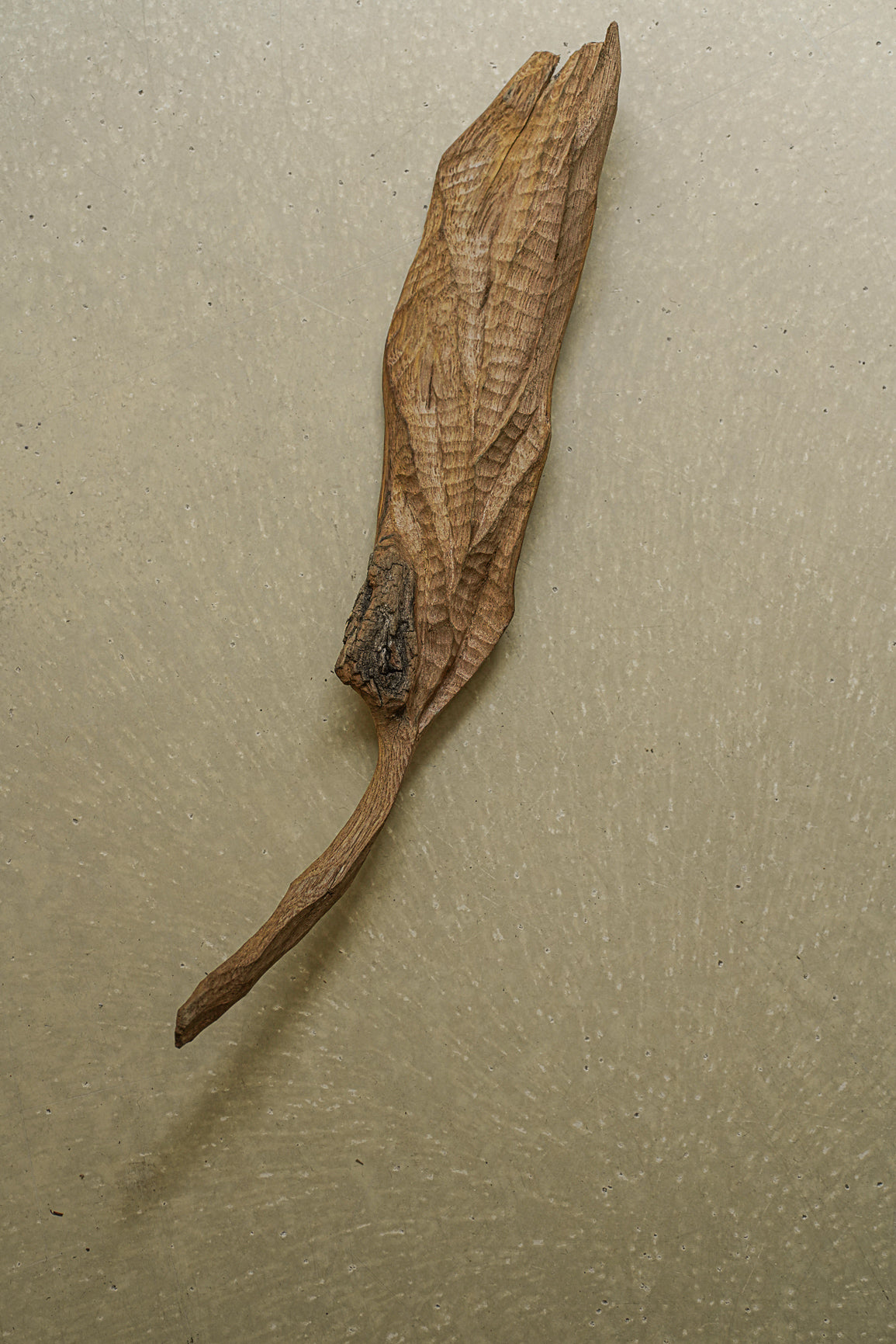 FEUILLE