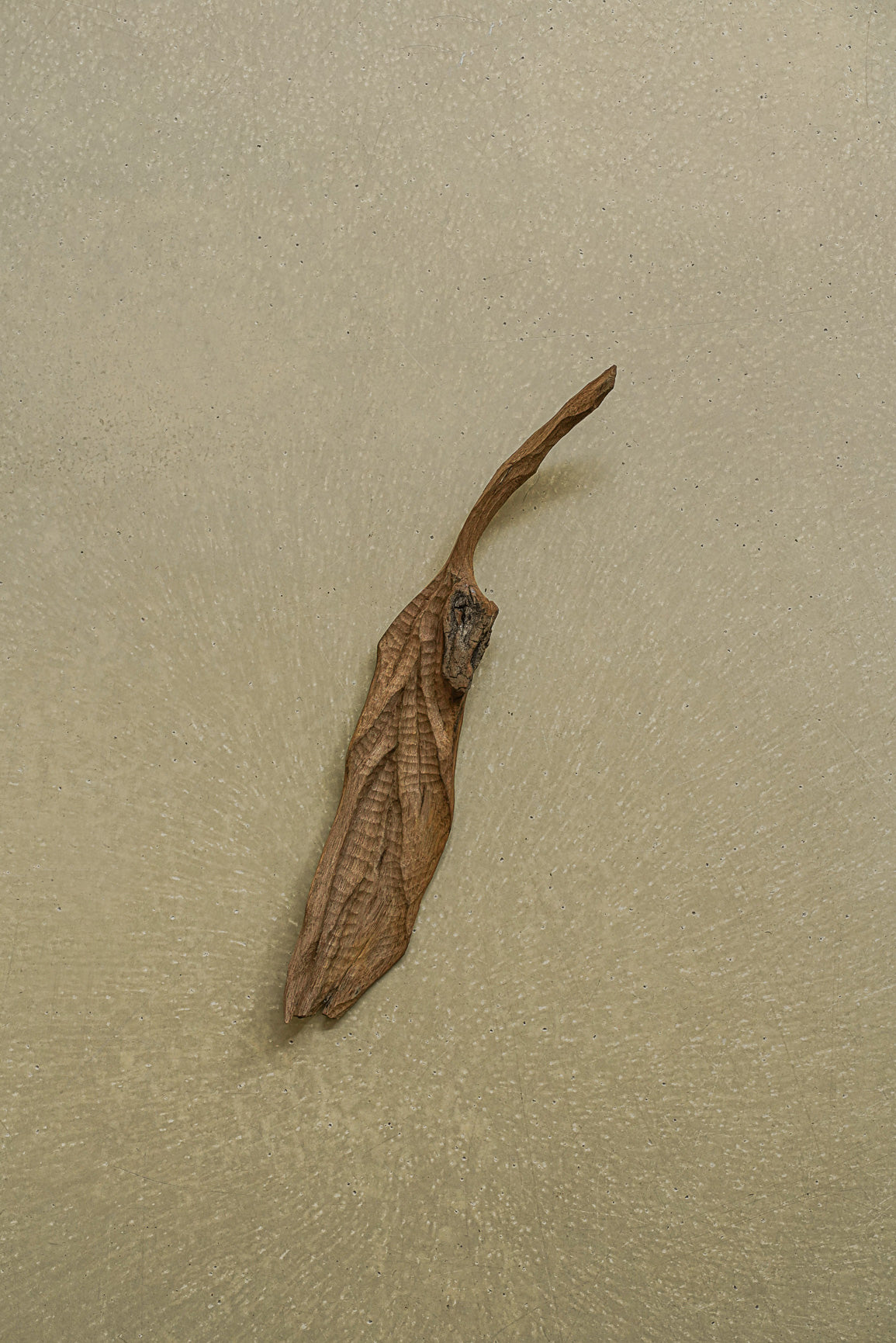 FEUILLE