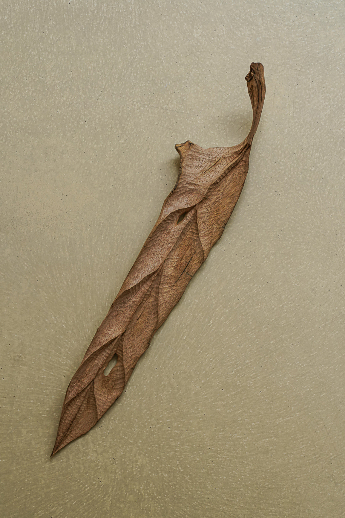FEUILLE