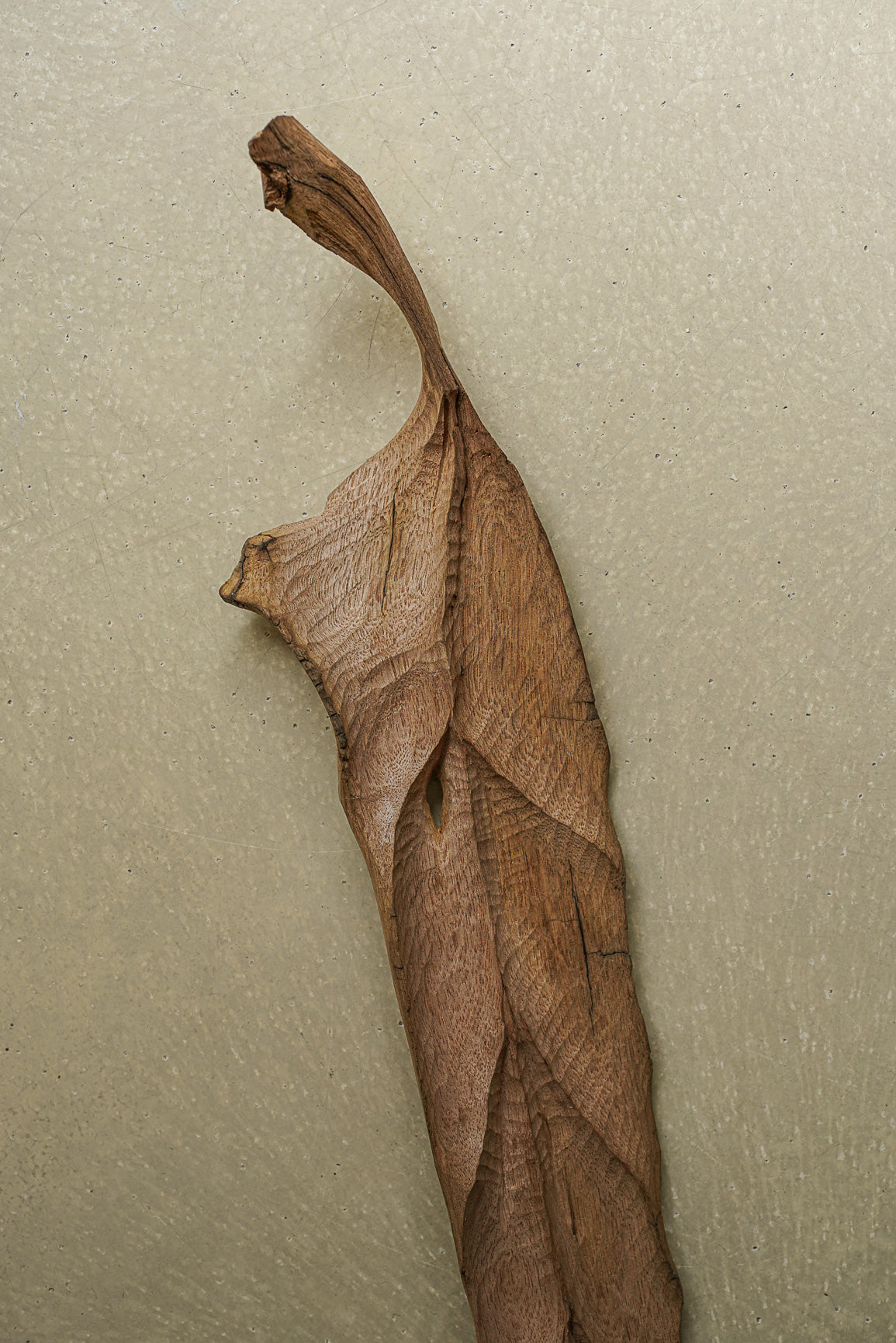 FEUILLE