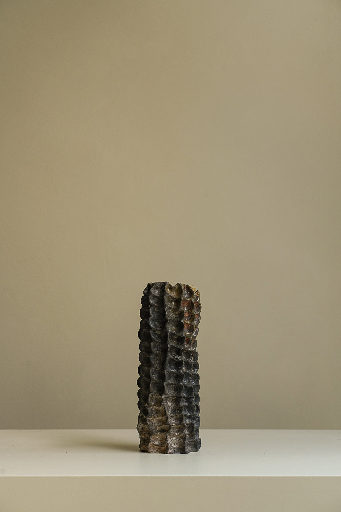 SOLIFLORE VI