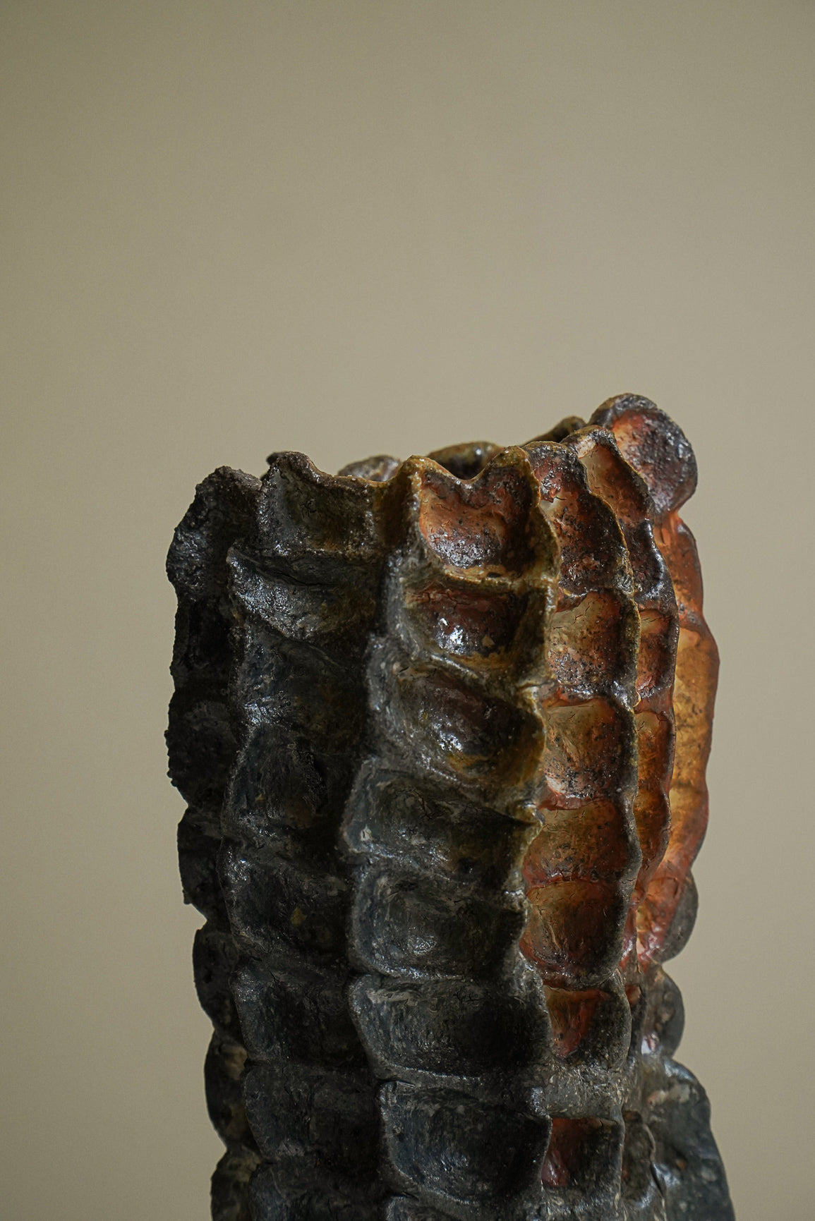 SOLIFLORE VI