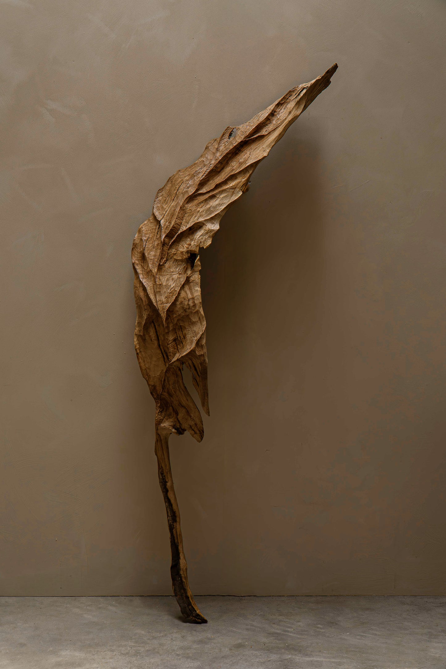 GRANDE FEUILLE