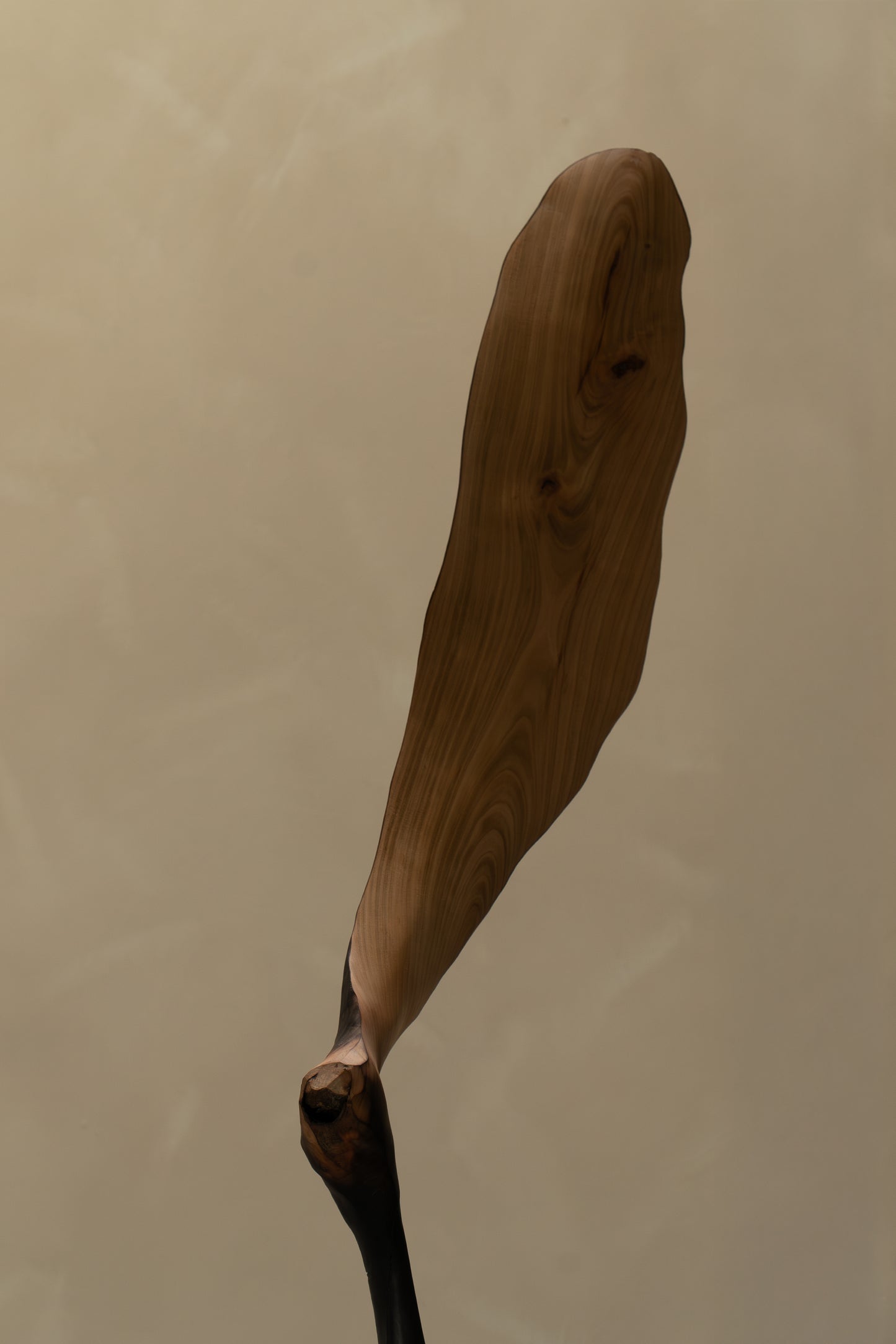 ALULA II