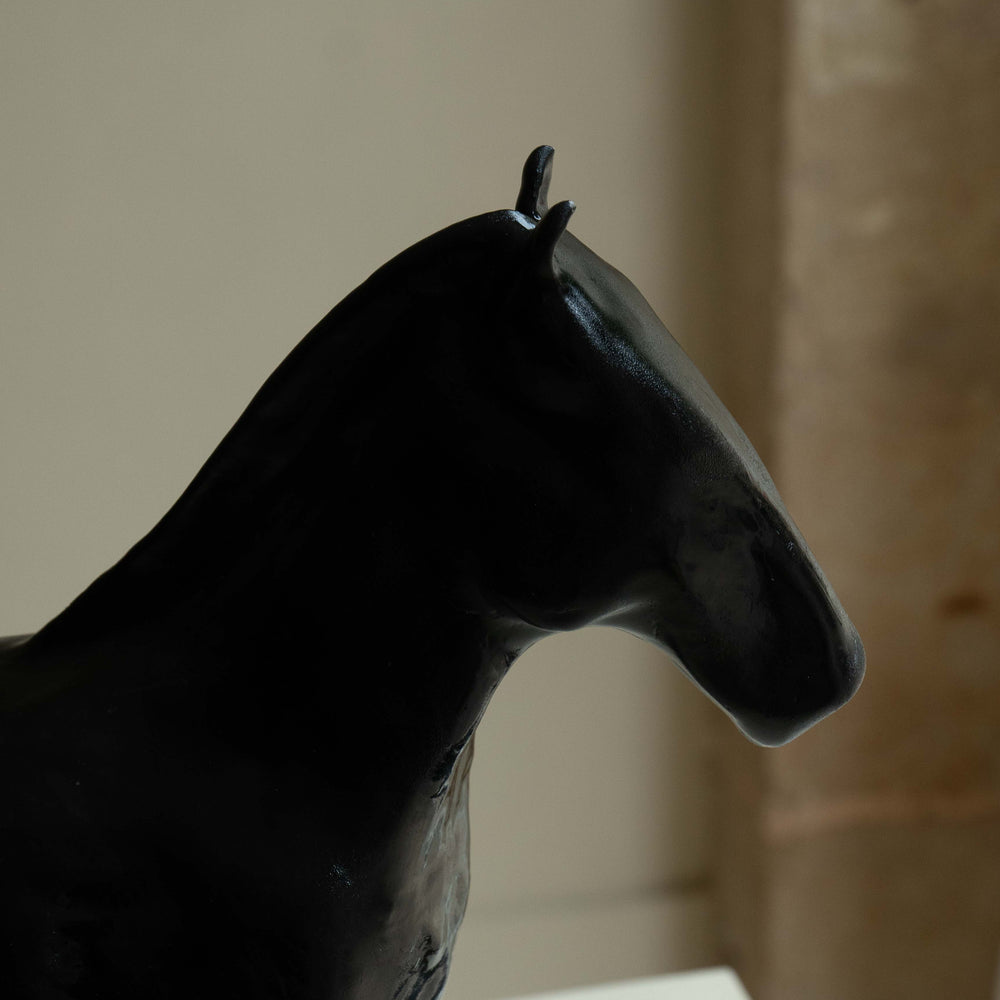 
                      
                        BLACK HORSE
                      
                    