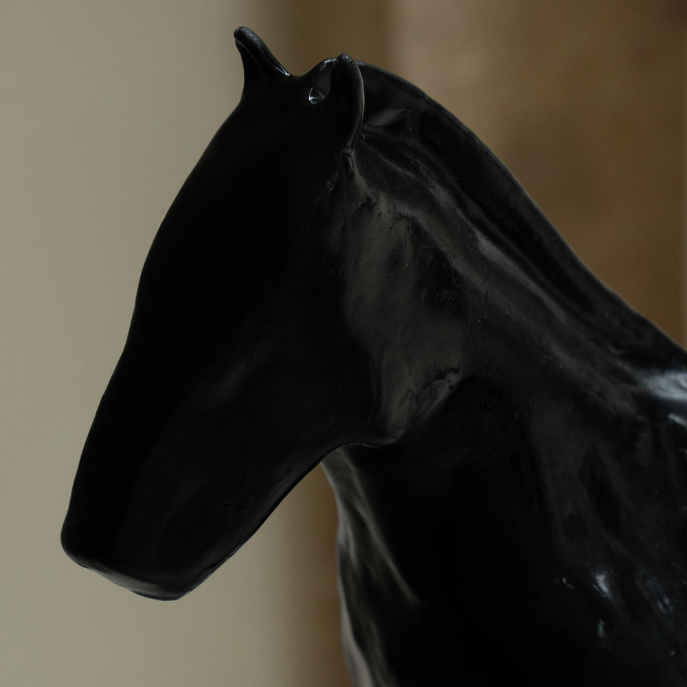 
                      
                        BLACK HORSE
                      
                    