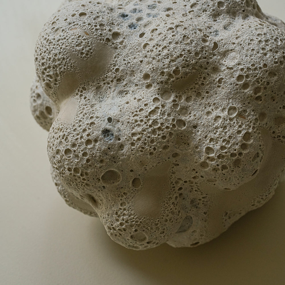 
                      
                        SCULPTURE NUAGE
                      
                    