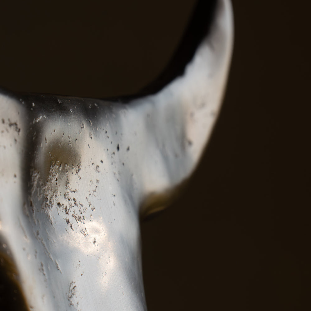
                      
                        BRONZE BUFFALO MOON
                      
                    