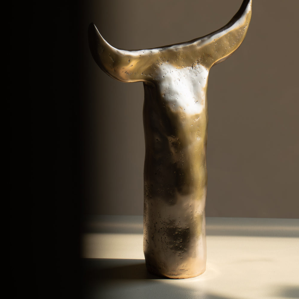 
                      
                        BRONZE BUFFALO MOON
                      
                    