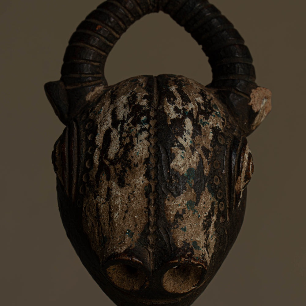 
                      
                        SCULPTURE BŒUF
                      
                    