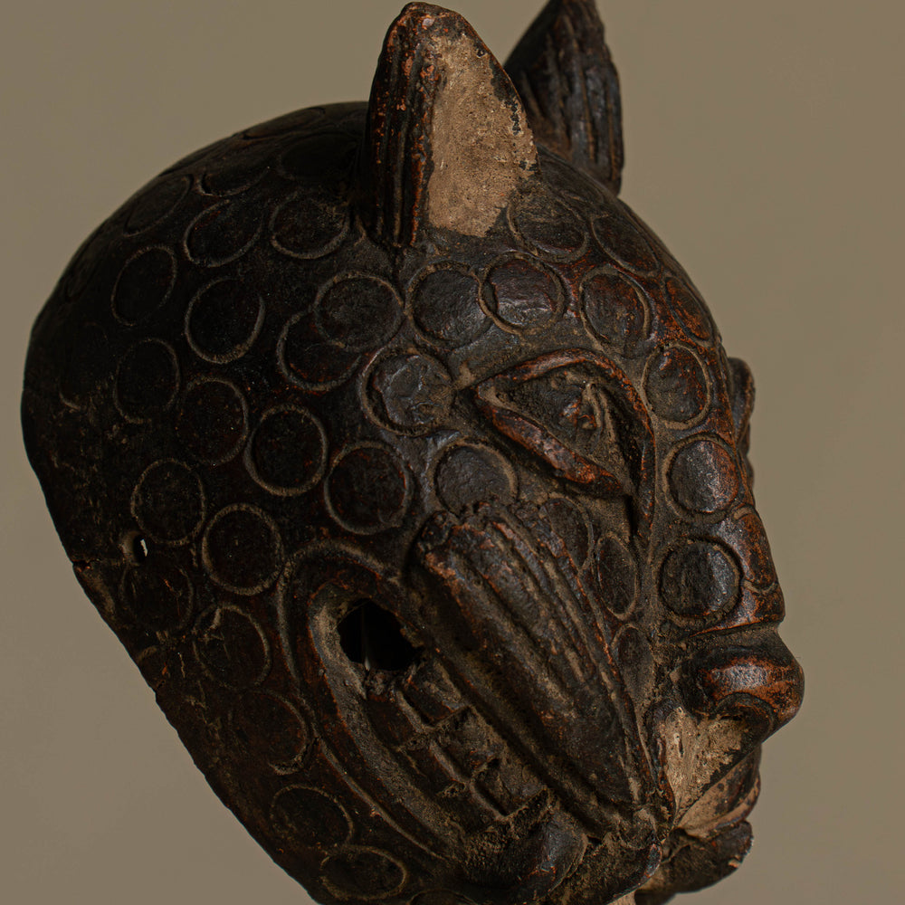 
                      
                        SCULPTURE JAGUAR
                      
                    