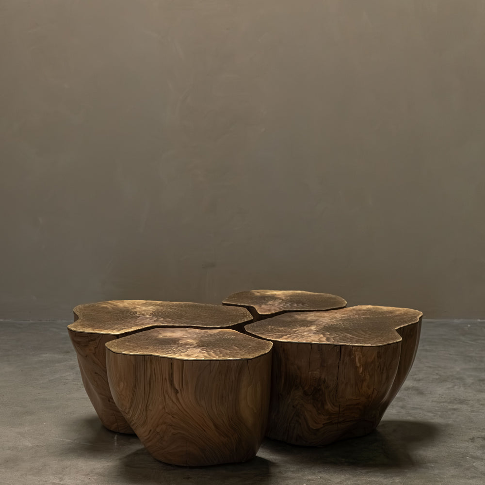 
                      
                        COMPOSITION DURAMEN NOYER/LAITON
                      
                    