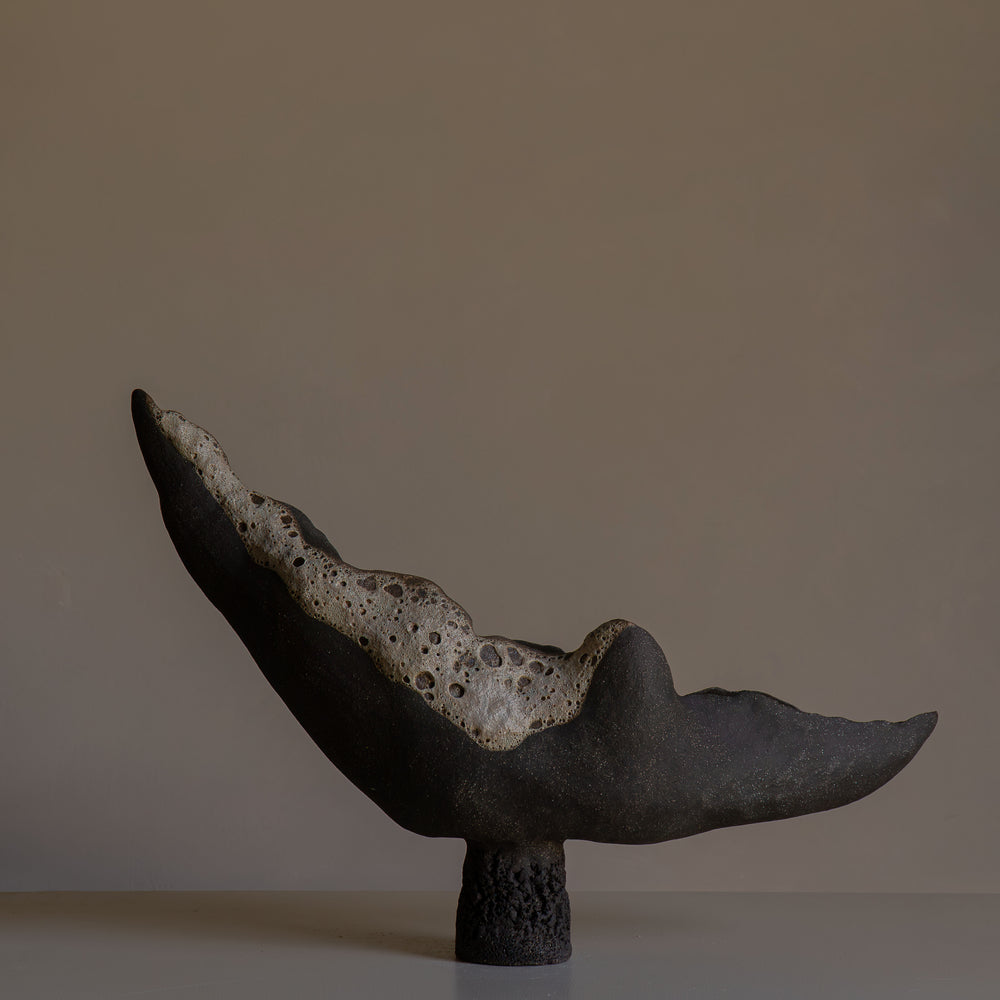 
                      
                        COUPE LA LUNE
                      
                    