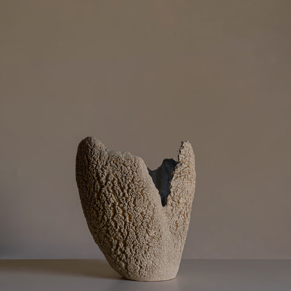 
                      
                        VASE BLANC
                      
                    