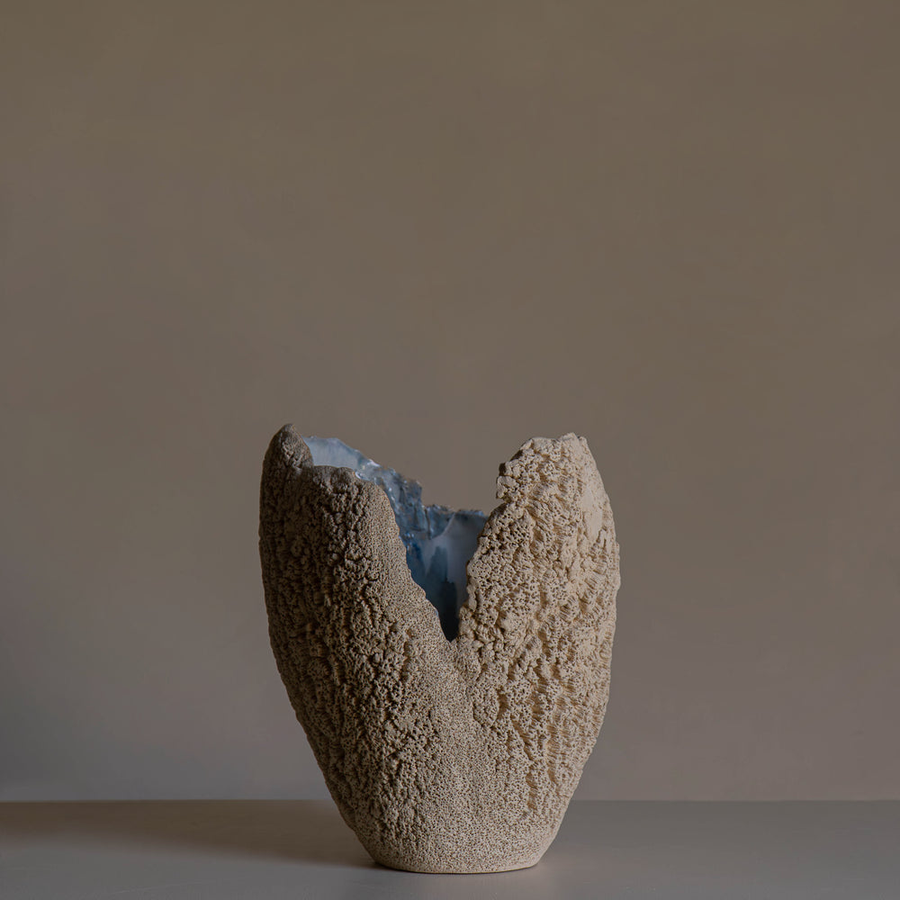 
                      
                        VASE BLANC
                      
                    