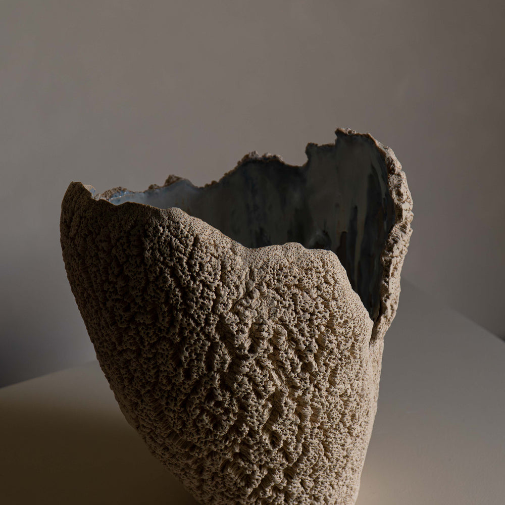 
                      
                        VASE BLANC
                      
                    