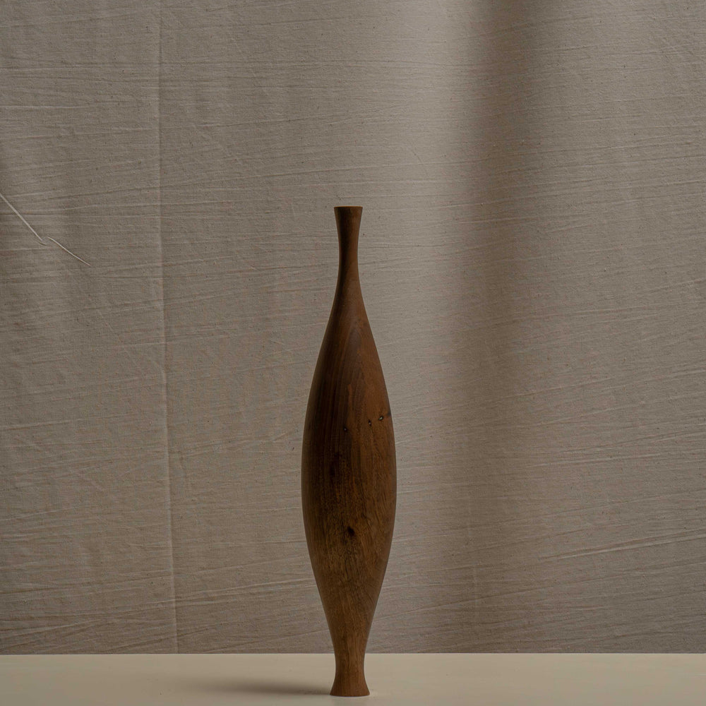 
                      
                        SOLIFLORE OLIVE NOYER I
                      
                    