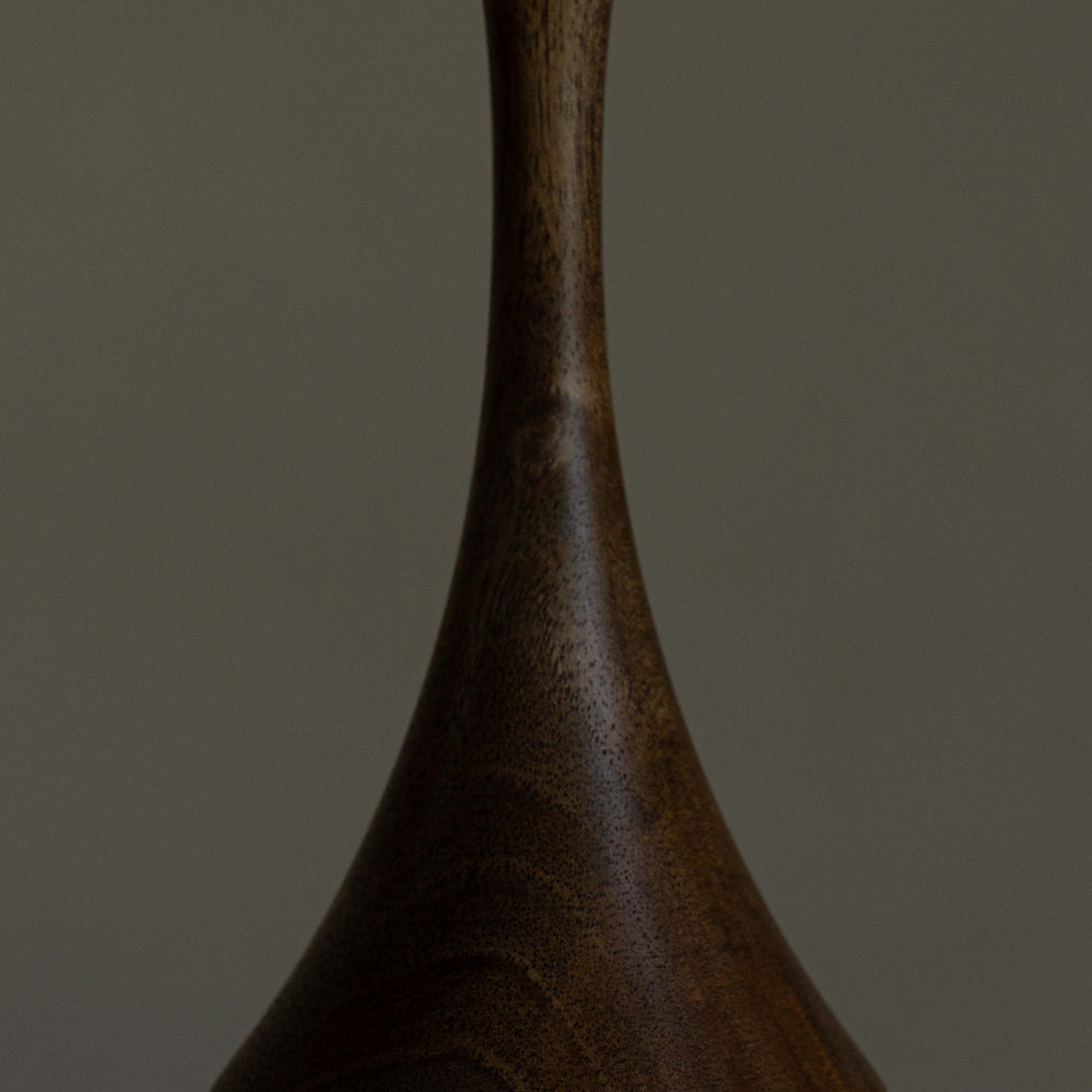 
                      
                        SOLIFLORE OLIVE IV
                      
                    