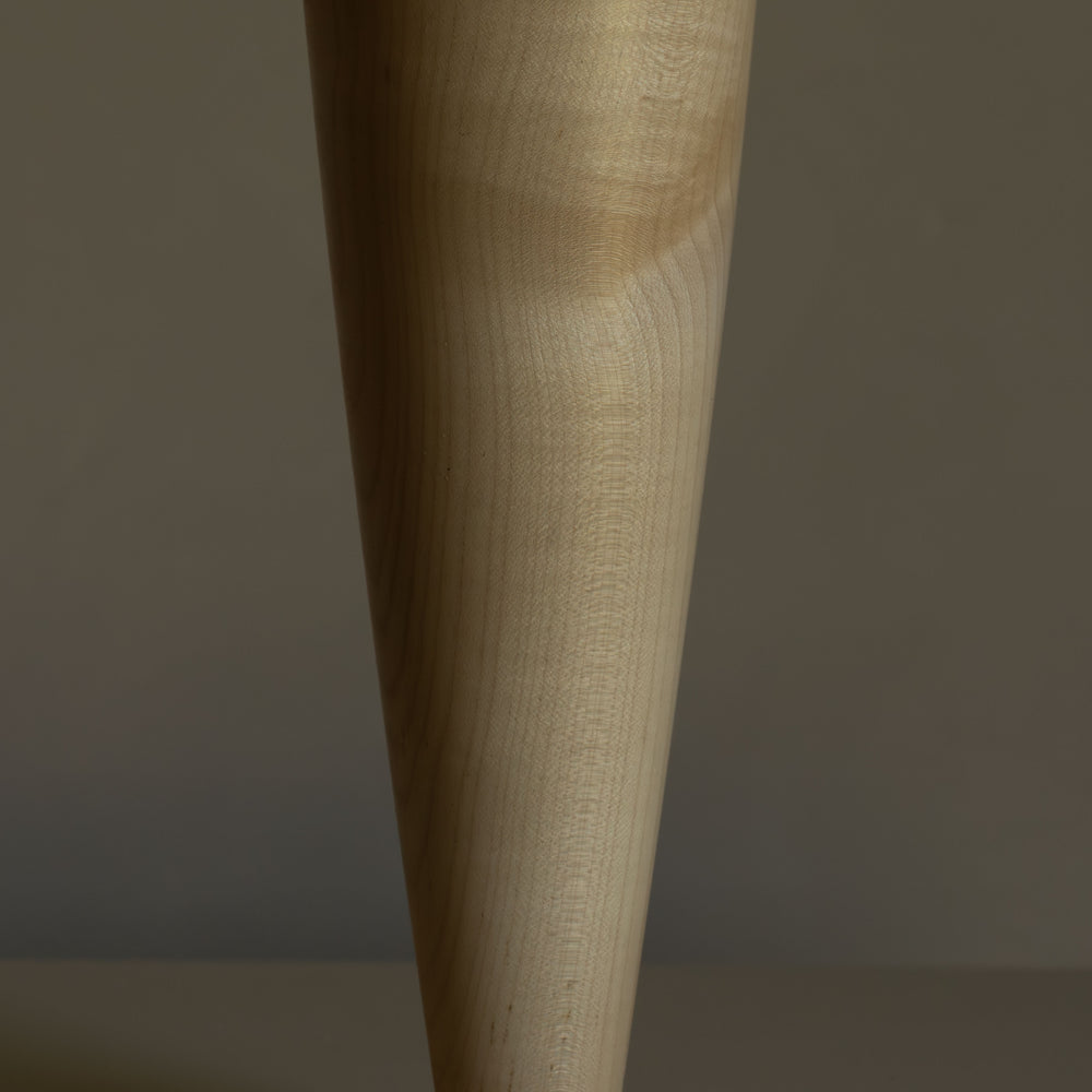 
                      
                        SOLIFLORE ÉRABLE IV
                      
                    