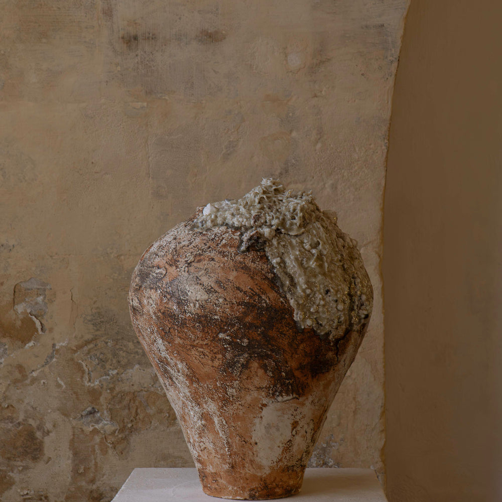 
                      
                        AMPHORA II
                      
                    