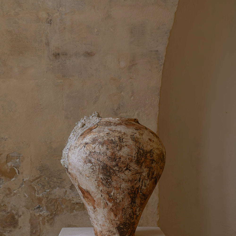 
                      
                        AMPHORA II
                      
                    