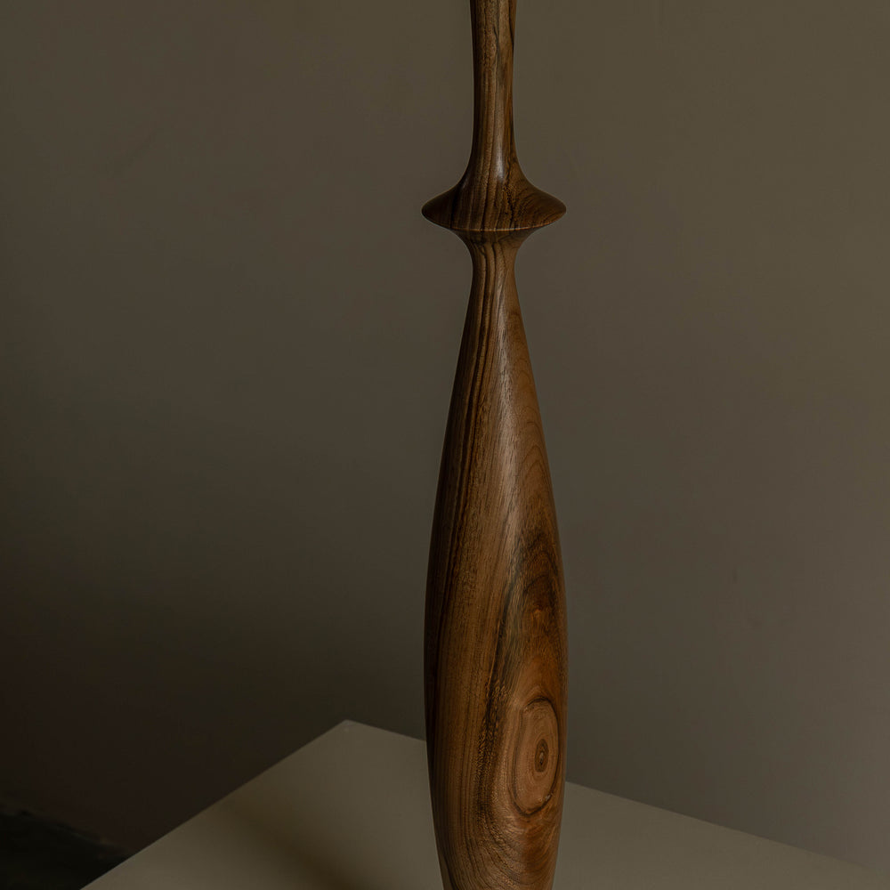 
                      
                        SOLIFLORE CROIX NOYER I
                      
                    