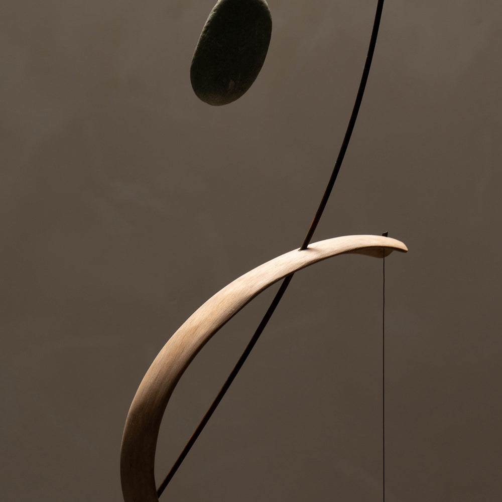 
                      
                        SUSPENSION BONES
                      
                    