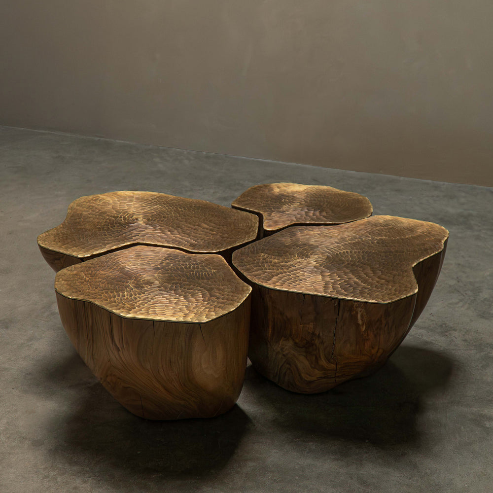 
                      
                        COMPOSITION DURAMEN NOYER/LAITON
                      
                    
